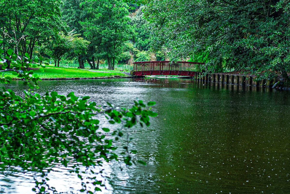 Red footbridge over the lake at Lake Te Koutu, Cambridge