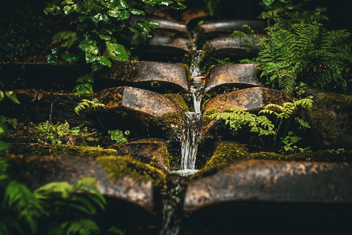 Water cascading down mossy stone steps among ferns
