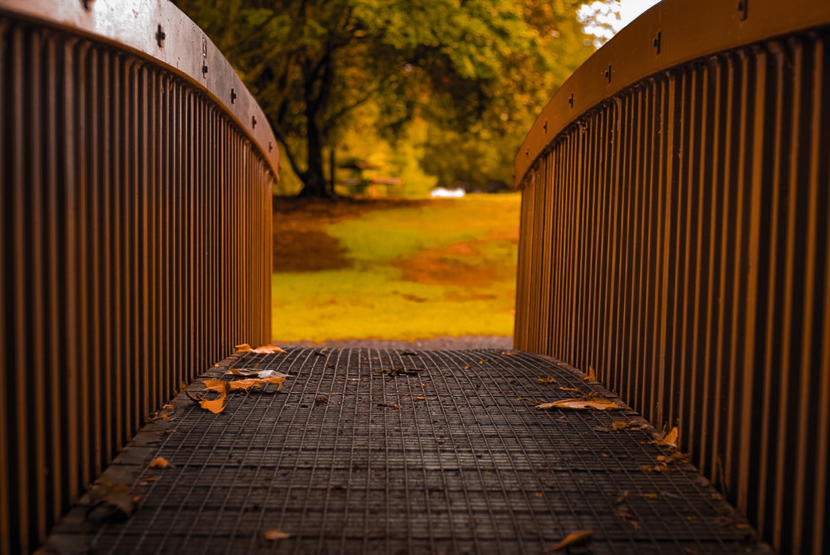 Golden footbridge with autumn tones